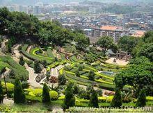 安溪縣，長坑鄉.茶場景觀