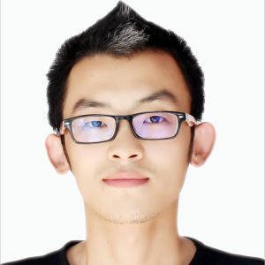 葉森[青年畫家]