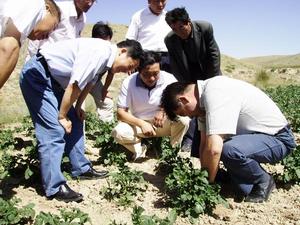 （圖）雲峽河回族鄉