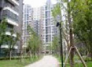 金陵小區燕禾園 金陵小區燕禾園