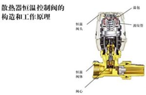 垂直失調 垂直失調