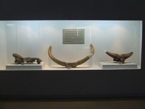 吉林省鎮賚縣博物館 吉林省鎮賚縣博物館