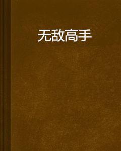 無敵高手[縱橫中文網小說]