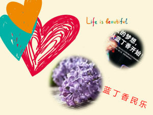 藍丁香民樂教育 藍丁香民樂教育