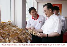 溫家寶總理蒞臨盼盼食品集團