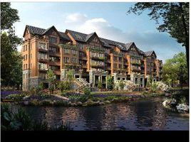 孔雀莊園 孔雀莊園