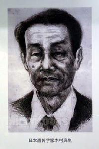 木村資生 木村資生