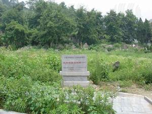 史彌忠墓道石刻