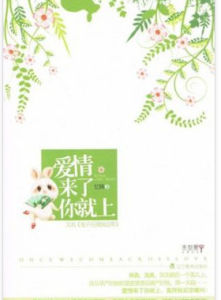 愛情來了你就上 愛情來了你就上