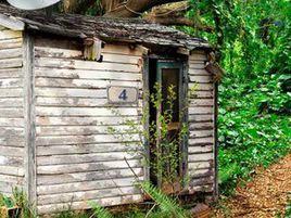 樹林小木屋2 樹林小木屋2