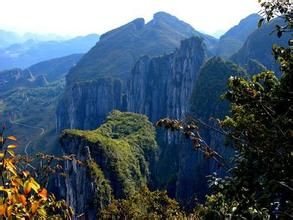 黃水森林公園 黃水森林公園