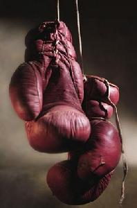 憤怒的拳頭[吳京、廣帥主演電影]