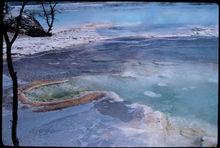 溫室效應 生物大滅絕真兇?