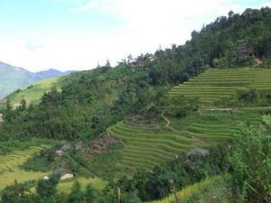 哪謝自然村 哪謝自然村