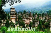 少林寺塔林