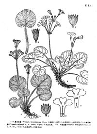 習水報春 習水報春