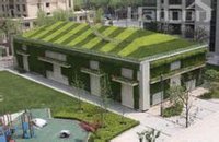 鋪貼式牆體綠化