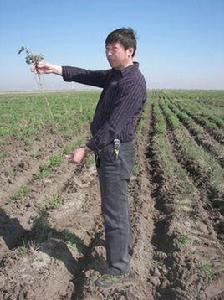 齊寶林[錦州市第三建築公司副總會計師]