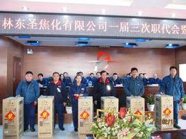 吉林東聖焦化有限公司 吉林東聖焦化有限公司