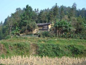 水坪子自然村 水坪子自然村