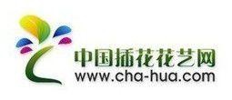 中國插花花藝網 中國插花花藝網