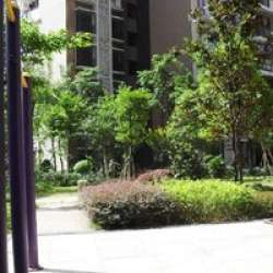 祥福小景 祥福小景