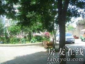 國安小區 國安小區