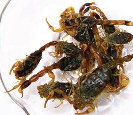 十足全蠍 十足全蠍