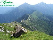 岷山風光與植物