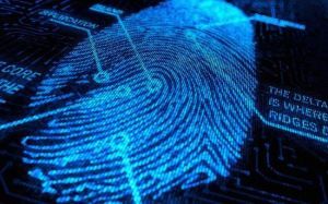 指紋識別