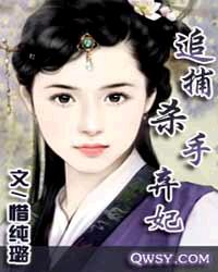 追捕殺手棄妃 追捕殺手棄妃