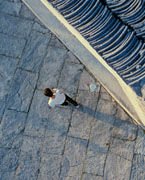 《天長地久》（中國）