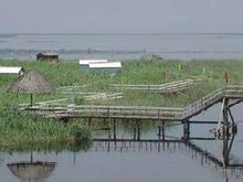 烏梁素海風景特色