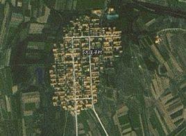 大莊子村[山東省濰坊市昌樂縣大莊子村]