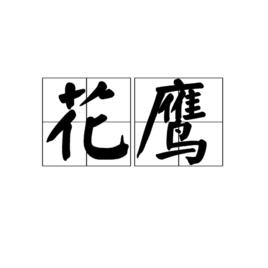 花鷹[漢語詞語]