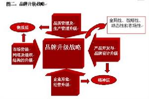 企業戰略選擇 企業戰略選擇