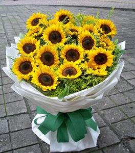 音樂盒向日葵 音樂盒向日葵