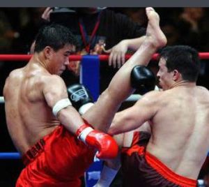 柳腿劈掛 柳腿劈掛