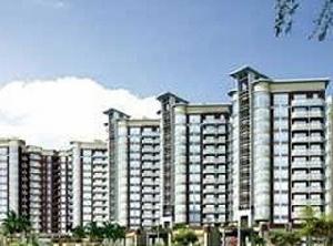 比華利山 比華利山