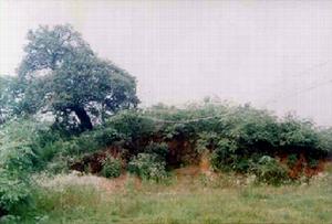 白滸古瓷窯遺址