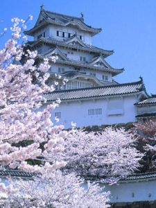 江戶時代 江戶時代