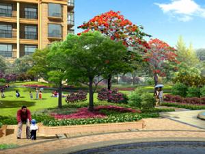 金域熙城 金域熙城