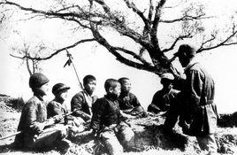 張金才[東江縱隊排長]