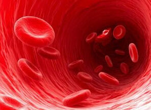 生物鐘第二齒輪 生物鐘第二齒輪