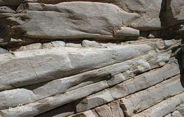 同斜褶皺 同斜褶皺