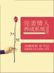 完美情人養成系統 完美情人養成系統