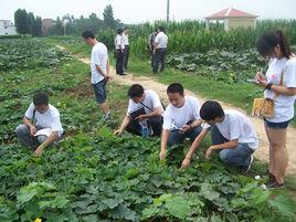 鄧州市穰原農作物種植專業合作社 鄧州市穰原農作物種植專業合作社