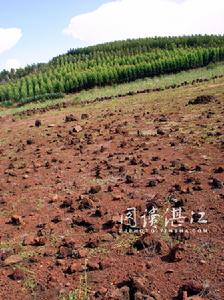 四散彈射的熔岩塊——徐聞石嶺火山口