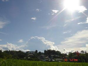 勐典自然村 勐典自然村