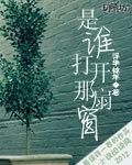 是誰打開那扇窗 是誰打開那扇窗